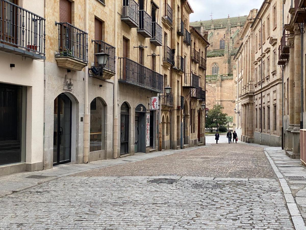 Apartamento Centro Historico Junto A Casa De Las Conchas - Parking Gratis Salamanca Luaran gambar
